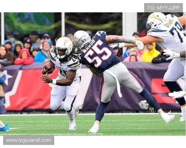 全球顶级体育赛事汇聚盛典 展现竞技巅峰挑战与激情对决